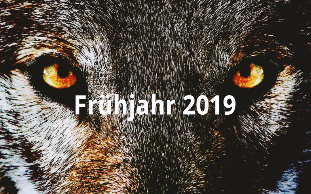 Frühjahr 2019 – WOLFSSPIEL