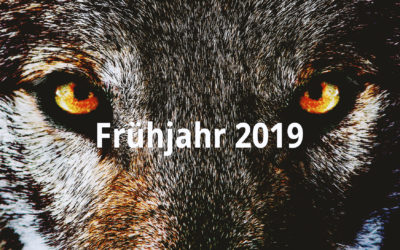 Frühjahr 2019 – WOLFSSPIEL